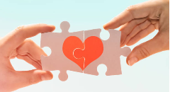 Compatibilité amoureuse : les duos de signes qui résistent à tout