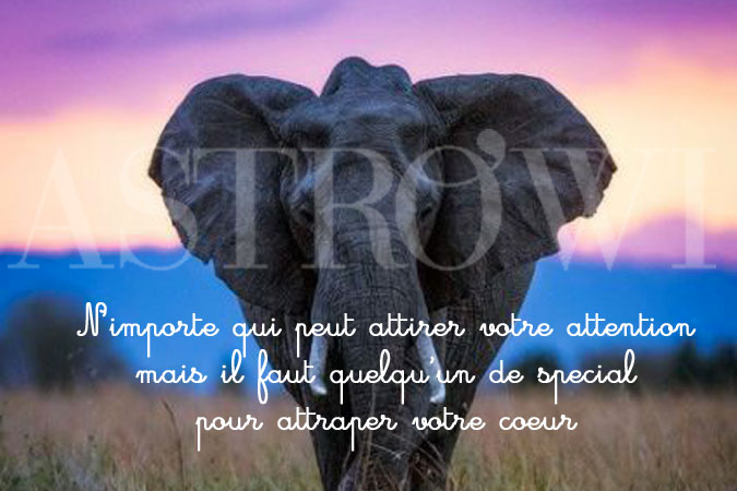 Astrowi : Citation 2015